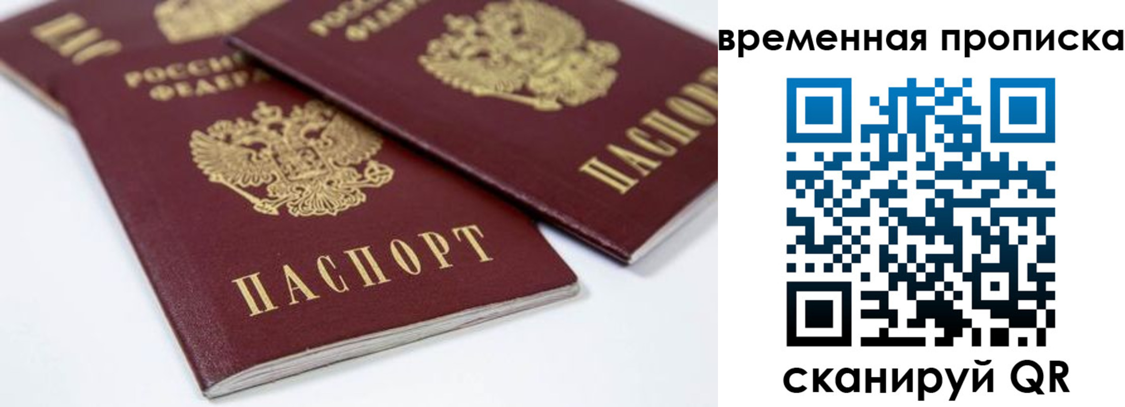 прописка для школы в Североморске